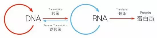 1566527841499622.jpg 微信圖片_20190823103642.jpg